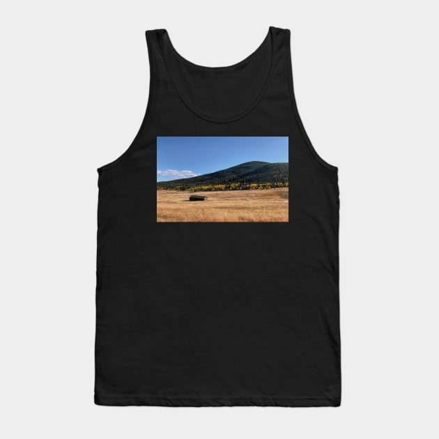 Evergreen Colorado Mountains Photography Tank Top by Hellbender Creations